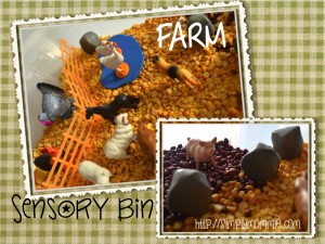 farm sensory